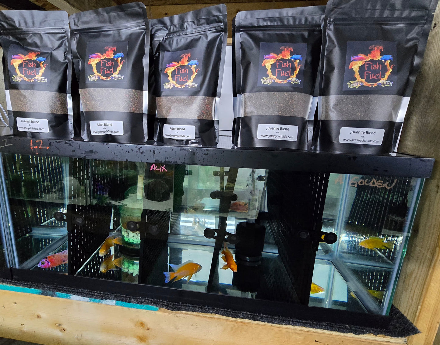 Fish Fuel