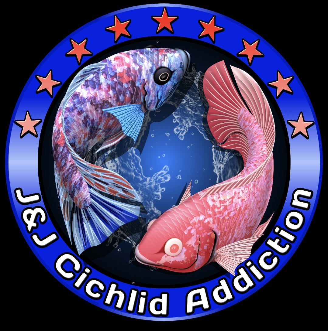 J&J Cichlid Addiction Credit